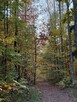 Mazury, domek w lesie, nad jeziorem, Masuriamiracle - 5