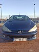 Peugeot 206 cc - 9