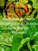 Pomidor ogorek rosyjskie odmiany odporne na zaraze - 11