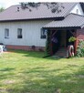 Sprzedam - 6