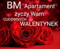 Apartament SPA jacuzzi sauna - 1