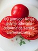 Pomidor ogorek rosyjskie odmiany odporne na zaraze - 13