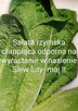 Pomidor ogorek rosyjskie odmiany odporne na zaraze - 12