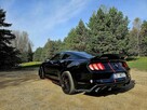 Ford Mustang 2.3 2016 - 7
