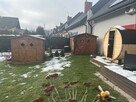 Piękny dom szuka nowych właścicieli - 14