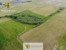Działki przemysłowe PSSE Sztum - 10