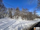 Działka leśna Kłobukowice gm. Mstów - 10