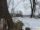Działka rolna Jodłowa - 7