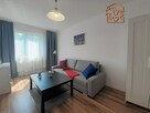 Ziołowa 43A, Ochojec, kawalerka pet friendly - 1