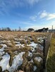 Sprzedam atrakcyjna dzialke z projektem indywidualnym - 9
