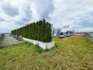 APARTAMENT Z MIEJSCEM PARKINGOWYM W CENTRUM - 11