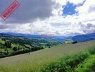 Działki widokowe z WZ, nieopodal Szczawnicy - 6