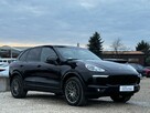 Porsche Cayenne Salon Polska / Pneumatyka / Platinium Edition / BOSE / FV 23% - 2