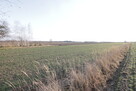 Działka budowlana blisko Lubartowa tylko 4 km - 5
