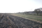 Działka budowlana blisko Lubartowa tylko 4 km - 13