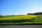 Atrakcyjne działki bud., szybki dojazd do Lublina - 5