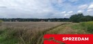 Piękna działka budowlana blisko lasu- 17ar-Świdnik - 3