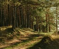 Okazja! Działka Siedliskowa - NADBUŻAŃSKI PARK KRAJOBRAZOWY - 14