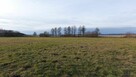 Kupin Zalewo, własna linia brzegowa jeziora Ewingi - 8