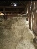 Sprzedam - 2