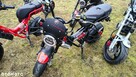 Elektryczny motorower 2-osobowy Garelli Ciclone 50cc+Nowy+FV - 2