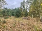 Atrakcyjne działki budowlane Barcice Drwalewskie, Chynów - 3