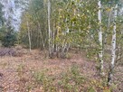 Atrakcyjne działki budowlane Barcice Drwalewskie, Chynów - 4