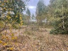 Atrakcyjne działki budowlane Barcice Drwalewskie, Chynów - 6
