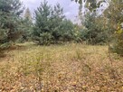 Atrakcyjne działki budowlane Barcice Drwalewskie, Chynów - 5