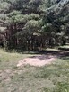 Działka budowlana Pasym, Polna - 5