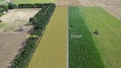 Działka budowlana Siewierz Sulików, - 4