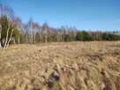 DZIAŁKA BUDOWLANA NA SPRZEDAŻ - 2