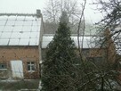 Gospodarstwo rolne - 5