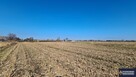 Działka usługowa Zamość - 2