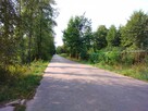Działka rolna 6500 m2 - 16