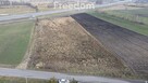 Dwie działki w okolicach Białej Podlaskiej - 5