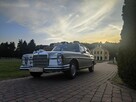 Auto do ślubu zabytkowy Mercedes W108 - 15
