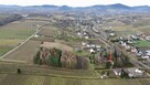 Nieruchomość o pow. 1,37ha .Świdnik , gm. Łukowica - 8