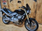 Honda Hornet HONDA CB600f Piękna i Zadbana NAKED , custom RATY,, KUP ONLINE - 14