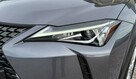 Lexus UX 250h,Hybryda,Idealny,Gwarancja - 15