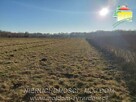 Działka budowlana Aleksandria gm. Puszcza Mariańska - 5