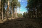 Działka budowlana w Wierzchosławicach! - 2