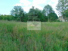 Działka budowlana Kiełczyn gm. Dzierżoniów - 3