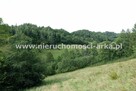 Działka budowlana Zabrzeż gm. Łącko - 2
