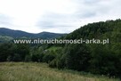 Działka budowlana Zabrzeż gm. Łącko - 3