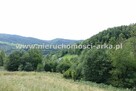 Działka budowlana Zabrzeż gm. Łącko - 4