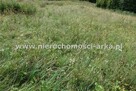 Działka budowlana Zabrzeż gm. Łącko - 8