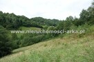 Działka budowlana Zabrzeż gm. Łącko - 11