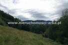Działka budowlana Zabrzeż gm. Łącko - 12