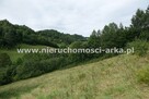 Działka budowlana Zabrzeż gm. Łącko - 13